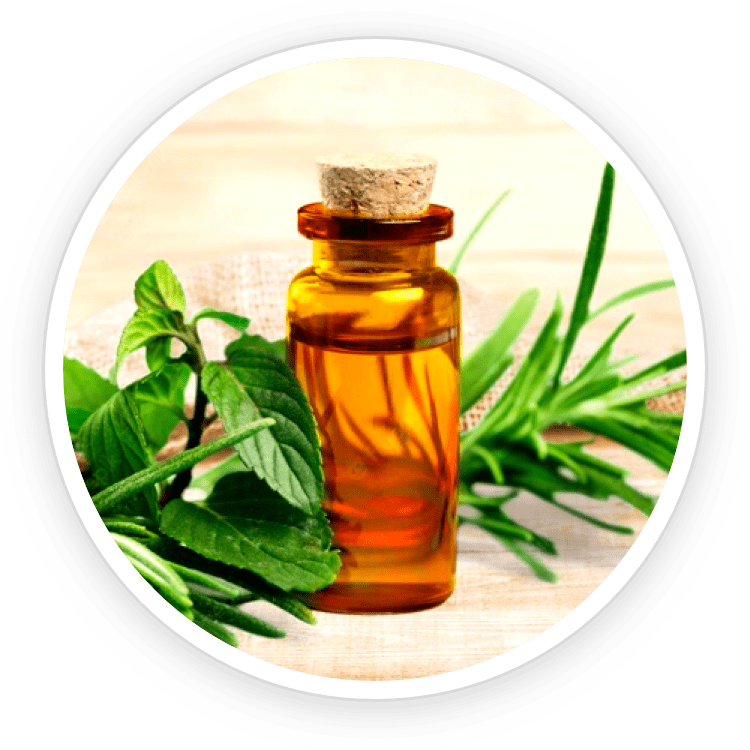  Kerassentials™ Ingredients Tea Tree Oil